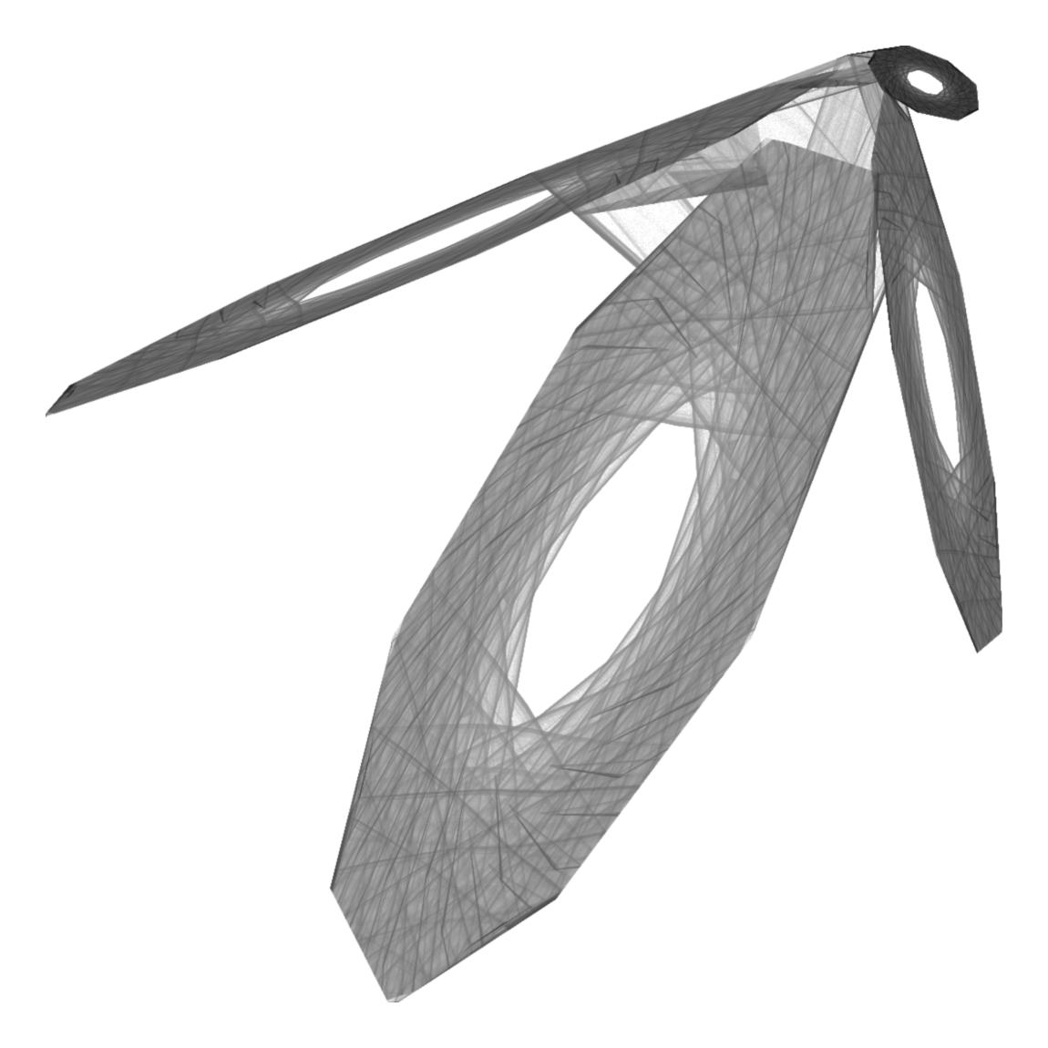 Strange attractor 12